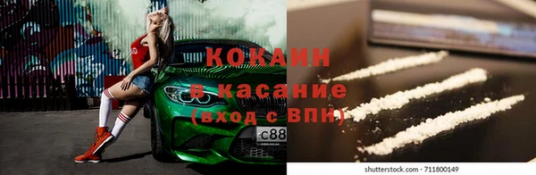 крисы Михайловск