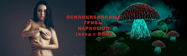 крисы Михайловск