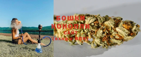 крисы Михайловск