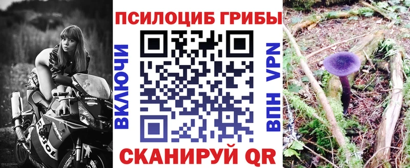 Галлюциногенные грибы мицелий  kraken сайт  Долгопрудный  даркнет сайт 